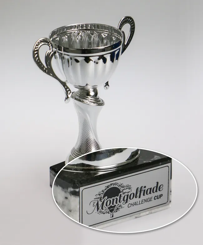 Custom Awards Ottawa engraved plaques trophies and recognition products